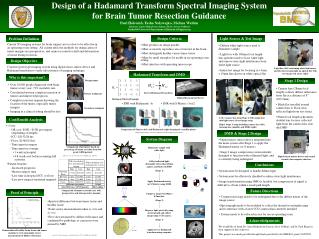 Design of a Hadamard Transform Spectral Imaging System for Brain Tumor Resection Guidance