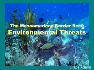 The Mesoamerican Barrier Reef: Environmental Threats
