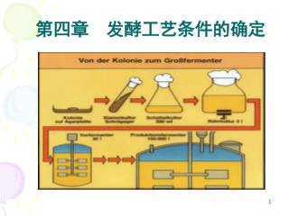 第四章 发酵工艺条件的确定