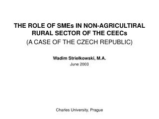 THE ROLE OF SMEs IN NON-AGRICULTIRAL RURAL SECTOR OF THE CEECs (A CASE OF THE CZECH REPUBLIC)