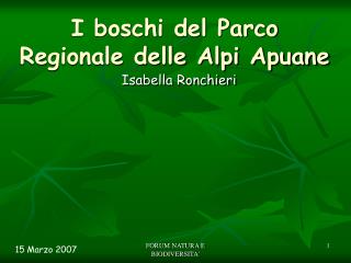 I boschi del Parco Regionale delle Alpi Apuane