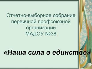 Отчетно-выборное собрание первичной профсоюзной организации МАДОУ №38