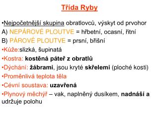 Třída Ryby