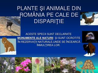 PLANTE Ş I ANIMALE DIN ROM Â NIA PE CAL E DE DISPARI Ţ IE