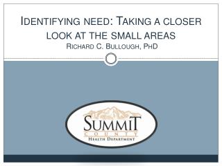 Identifying need: Taking a closer look at the small areas Richard C. Bullough, PhD