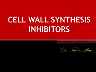 CELL WALL SYNTHESIS INHIBITORS