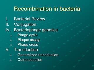 Recombination in bacteria