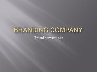 Brand Strategy Consultancy