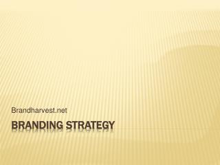 Brand building strategies