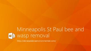 Minneapolis St Paul Bee and Wasp Removal