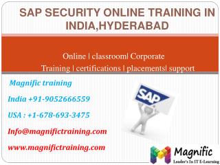 Sap security online training in india,hyderabad