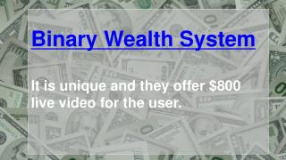 Binary Wealth System