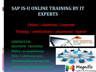 SAP ISU ONLINE TRAINING IN INDIA