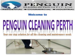 Penguin Cleaning Perth