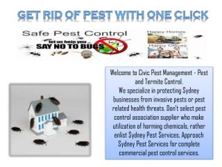 Get Rid of Pest With One Click