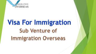 How can an immigration consultant help you to get a Canadian