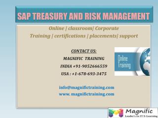 sap trm online training in uk