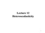 Lecture 12 Heteroscedasticity