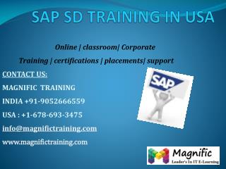 sap sd training in usa