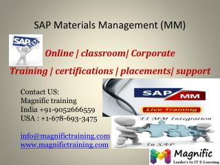 SAP MM ONLINE TRAINING IN USA