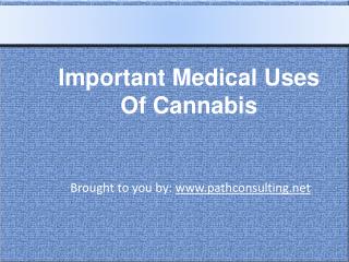 Important Medical Uses Of Cannabis