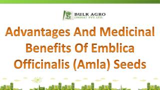 Advantages And Health Benefits Of Emblica Officinalis (Amla)