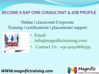 SAP CRM ONLINE TRAINING IN USA