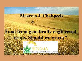 Food from genetically engineered crops. Should we worry?