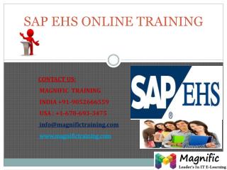 SAP EHS ONLINE TRAINING IN UK