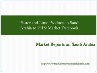 Plaster and Lime Products in Saudi Arabia to 2018: Market Da