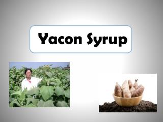 The Truth behind Yacon Syrup