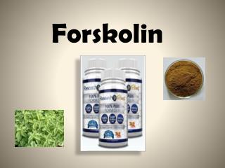 Forskolin in its Deepest