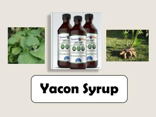 Yacon Syrup Overview