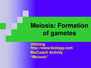 Meiosis: Formation of gametes