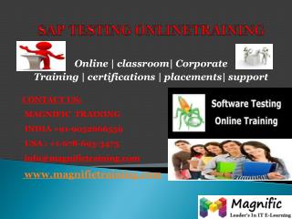 SAP TESTING ONLINE TRAINING IN USA