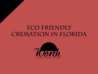 Eco friendly cremation service