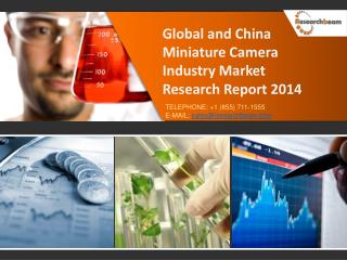 Global and China Miniature Camera Market Size, Trends 2014