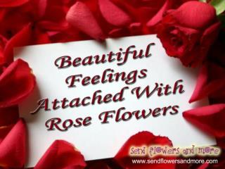 Rose Flower: Spread Feelings of Love