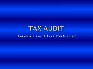 Tax Audit Assistance And Advice You Wanted