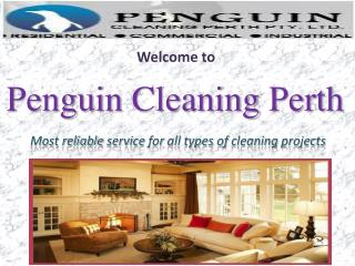Penguin Cleaning Perth Pvt. Ltd