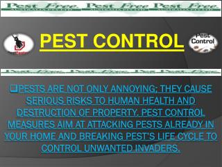 Pest Control