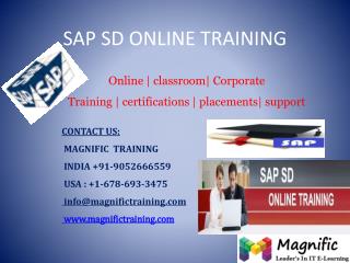 SAP SD ONLINE TRAINING IN UK