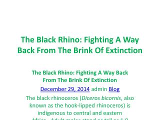 The Black Rhino: Fighting A Way Back From The Brink Of Extin