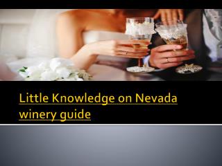 Little Knowledge on Nevada winery guide