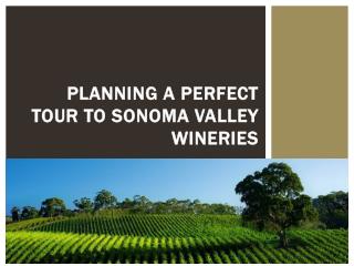 Planning a perfect tour to Sonoma Valley Wineries