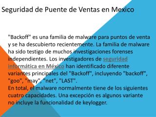 seguridad informática en México