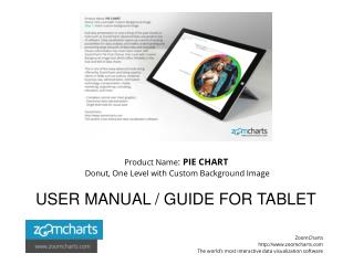 ZoomCharts User Guide Pie Chart Donut One Level with Custom