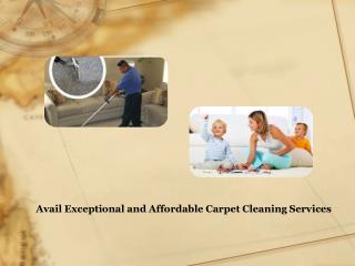 Avail Exceptional and Affordable Carpet Cleaning Services