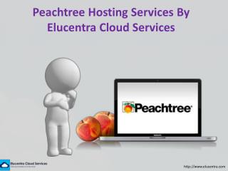 Peachtree Hosting Services by Elucentra Cloud Services