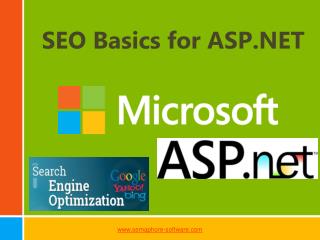 SEO Basics for ASP.NET